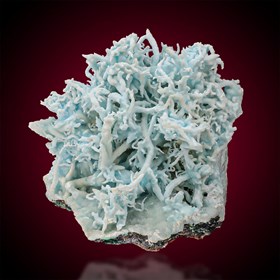 Flos Ferri-Steirischer Erzberg | Eisenerz | Leoben | Styria | Austria